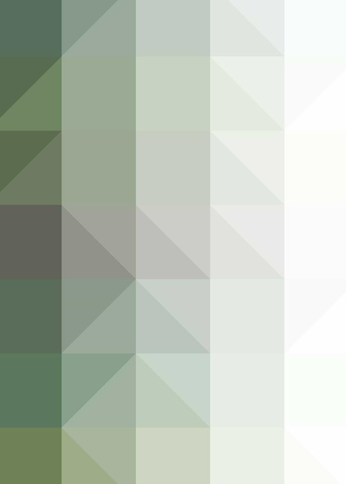 Abstract color LowPolygon