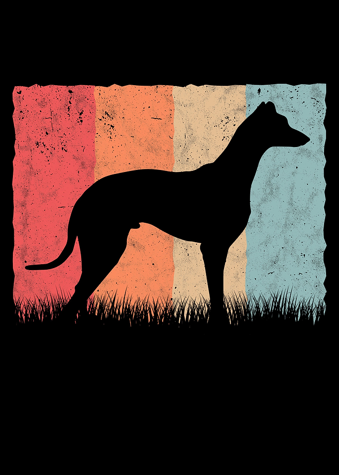 Galgo Espaol Retro Spain