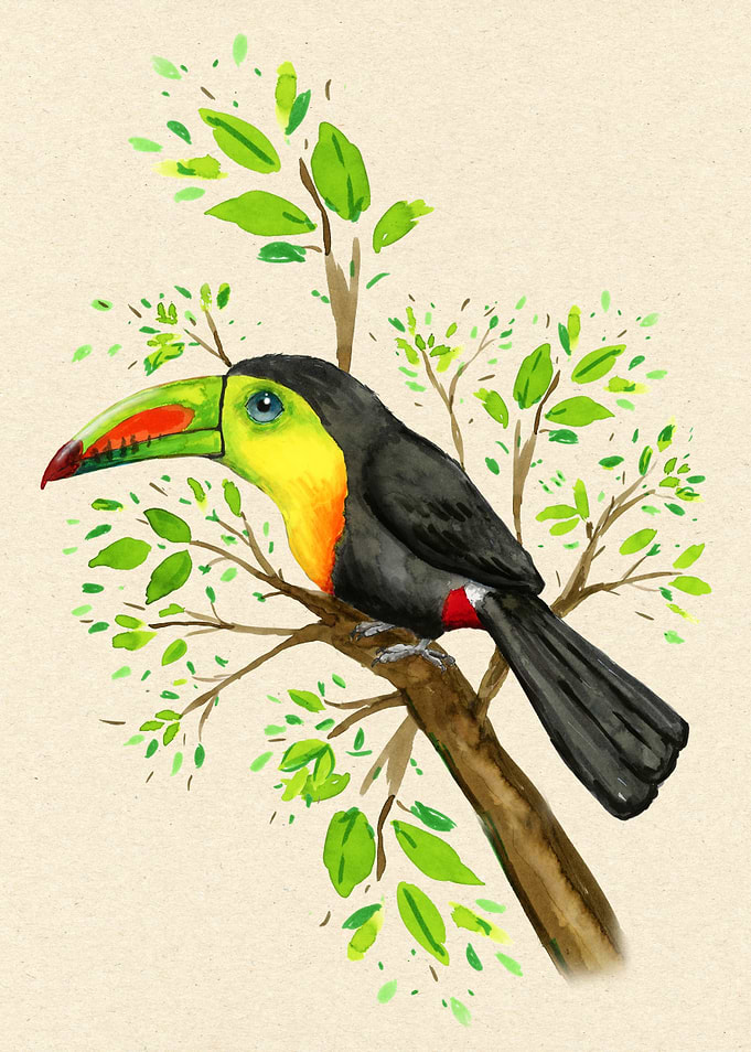 Keelbilled toucan