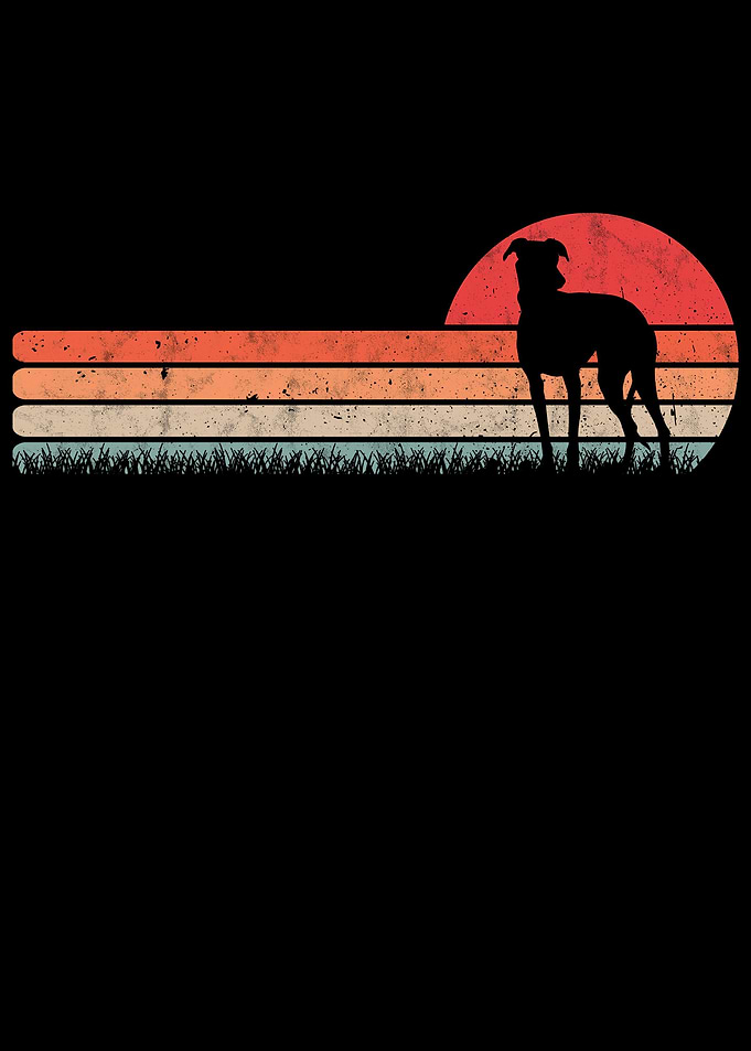 Galgo Espaol Retro Spain