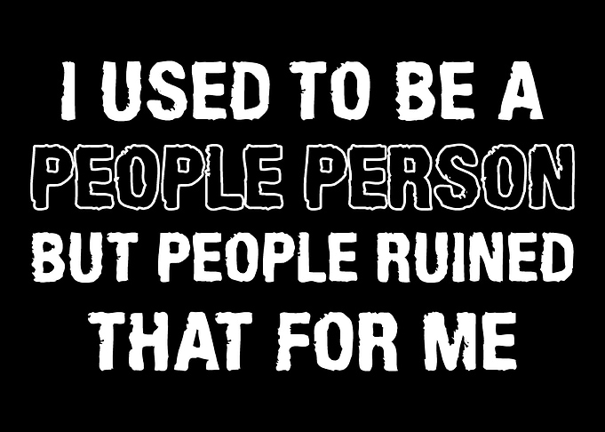 People Person Introvert an