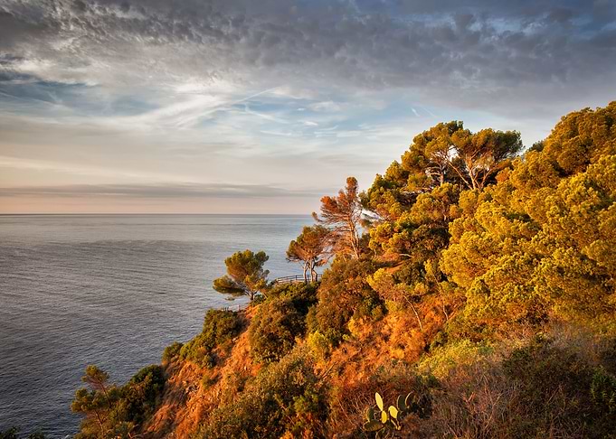 Sea Coast At Sunrise