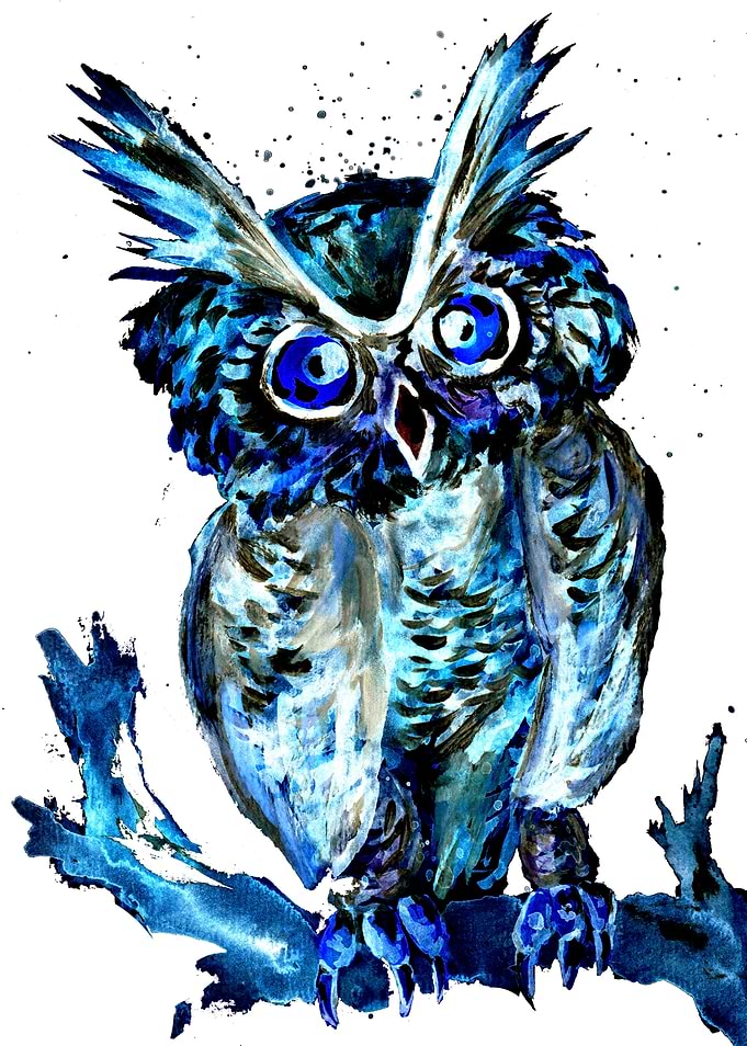 Little Blue Owl