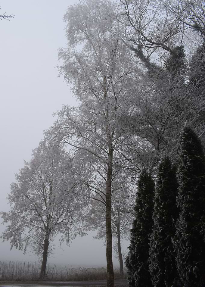 Wintertime