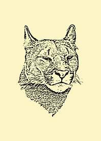 Mountain lion