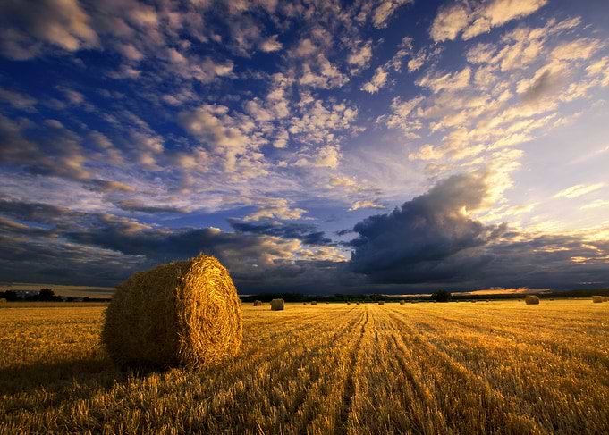 Hay bale scenery