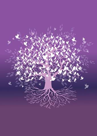 Tree of life birds