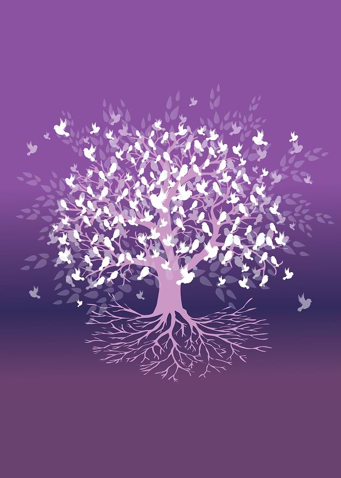 Tree of life birds