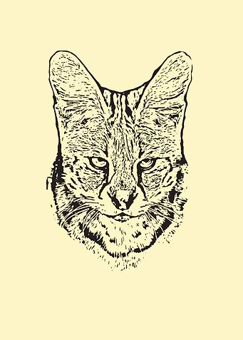 Serval