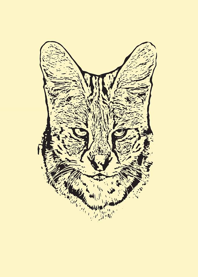Serval