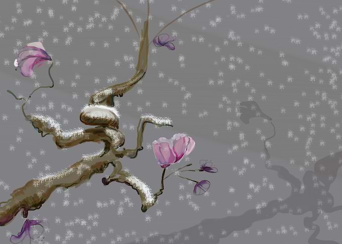 Blossom in the Snow