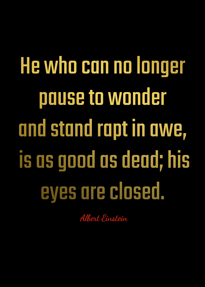 Albert Einstein Quotes