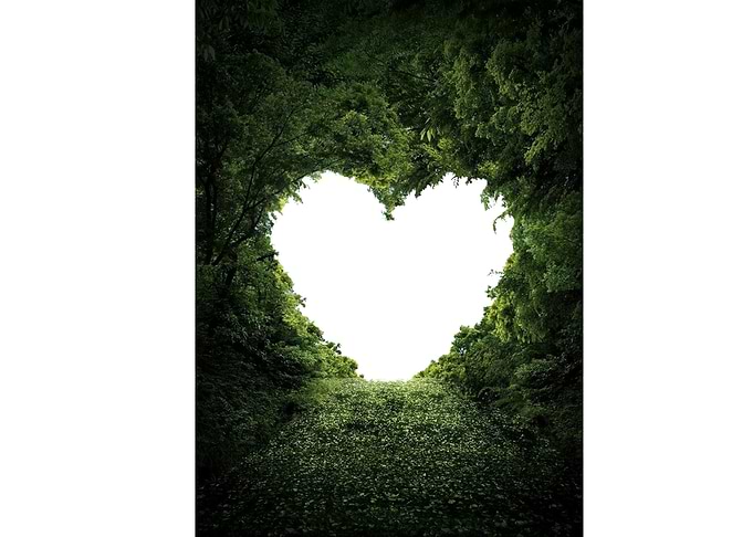 Green Love