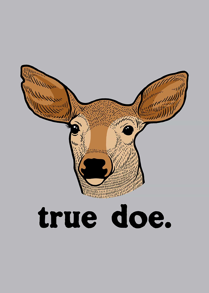 True Doe Poster Deer Hunt