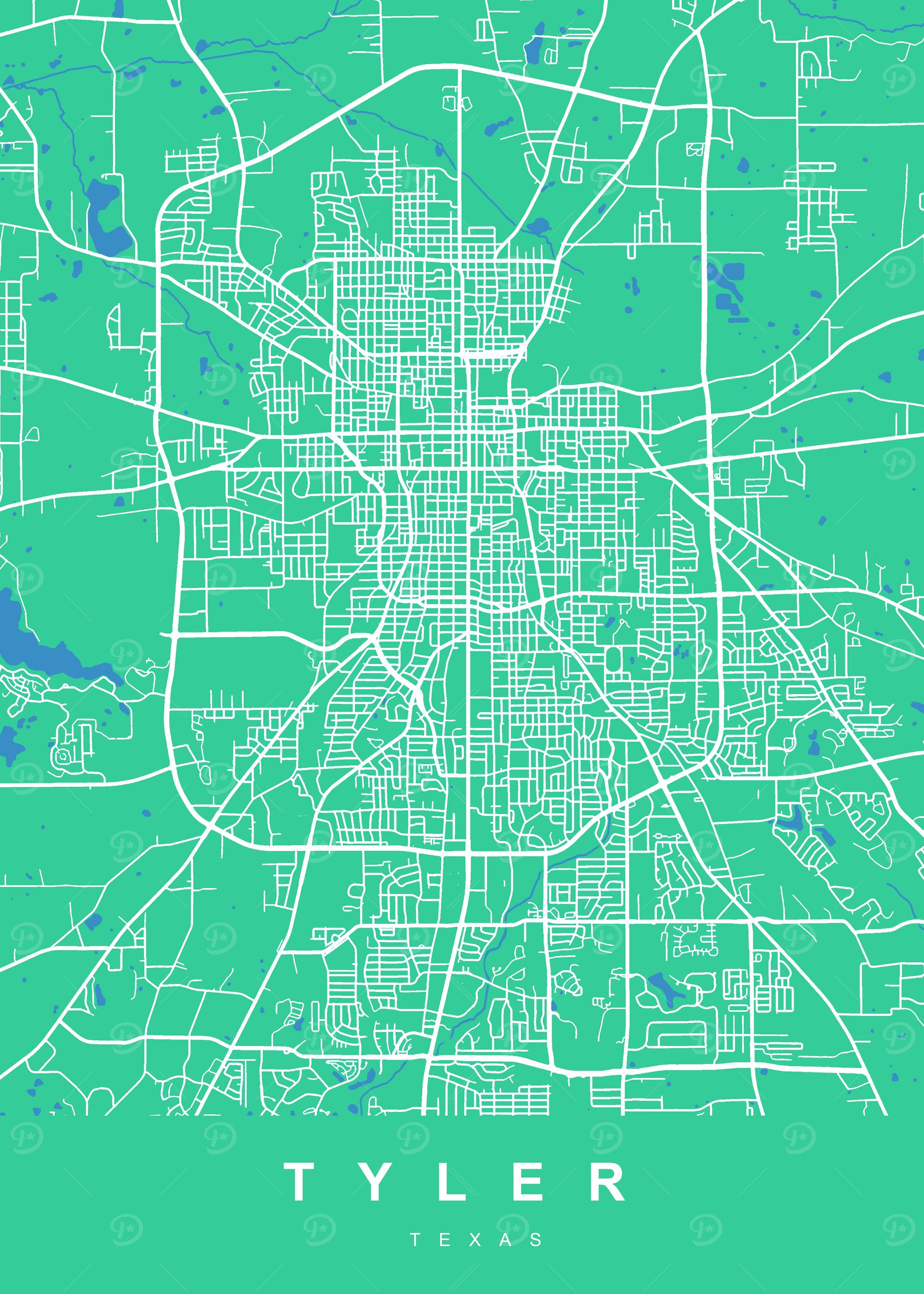 TYLER City Map Texas