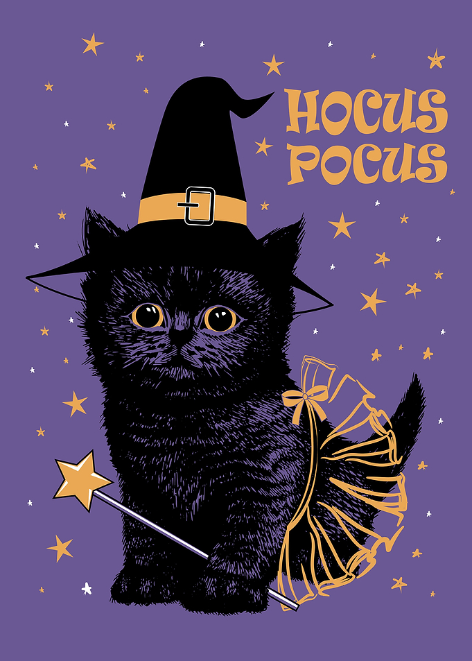 Witch kitten