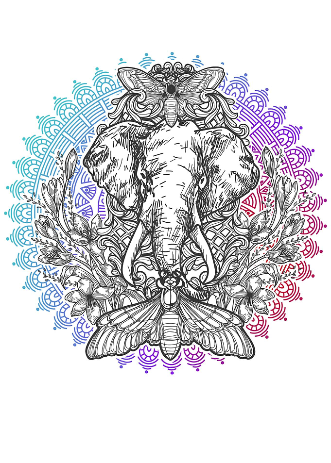Beautiful Yoga Design