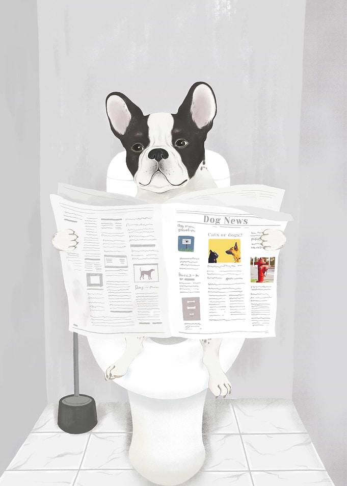 French Bulldog in Toilet