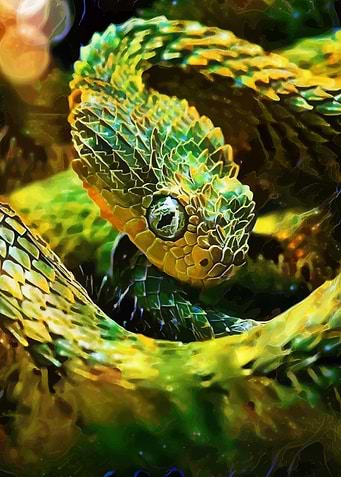 Greeny