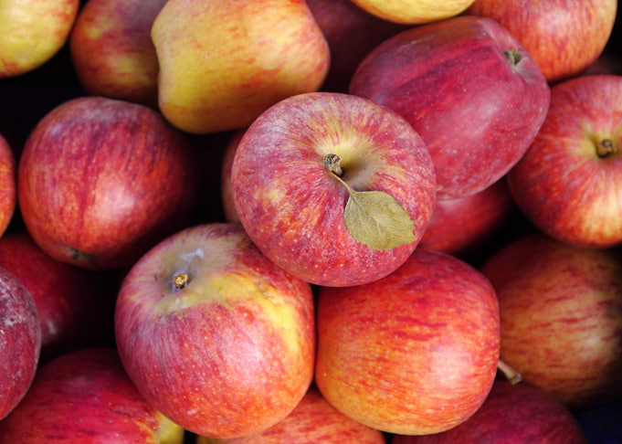 Fresh apples