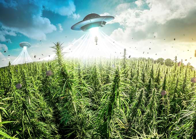 UFO abducting Weed