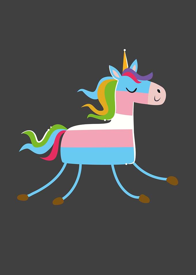Transgender Unicorn LGBTQ