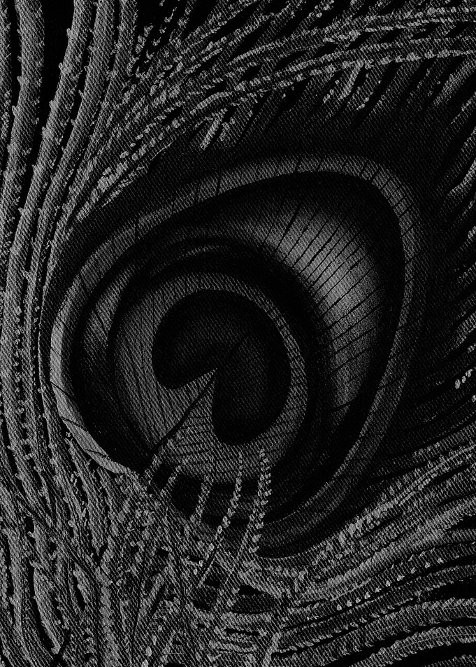 Peacock Feather BnW