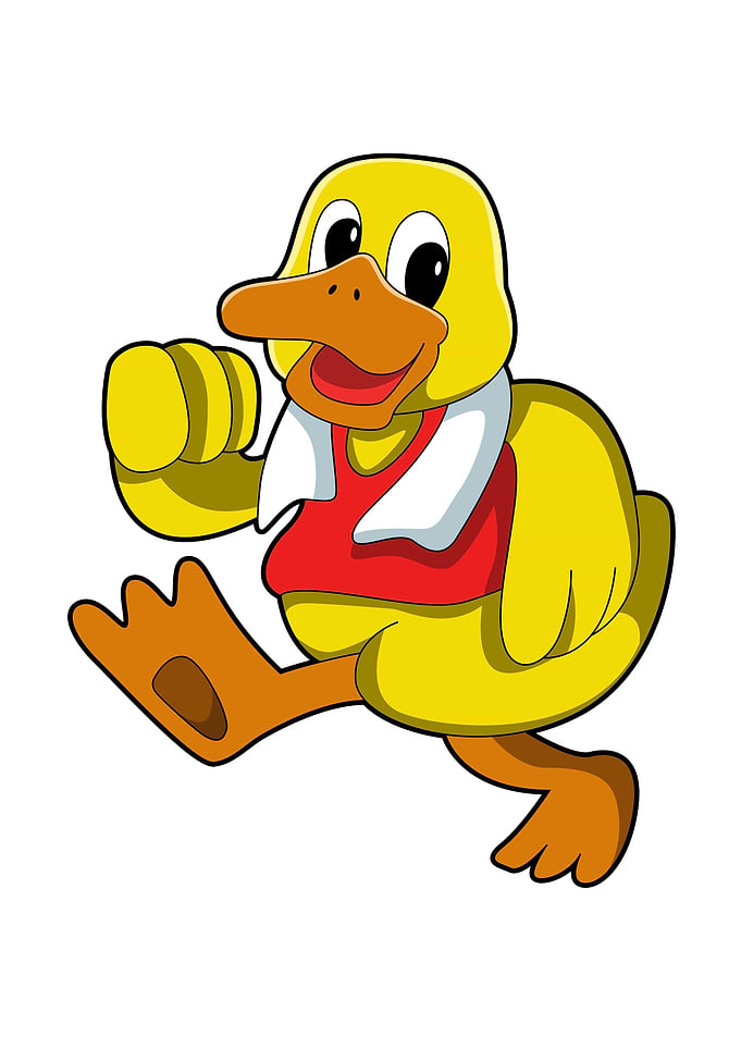 Duck Fitness