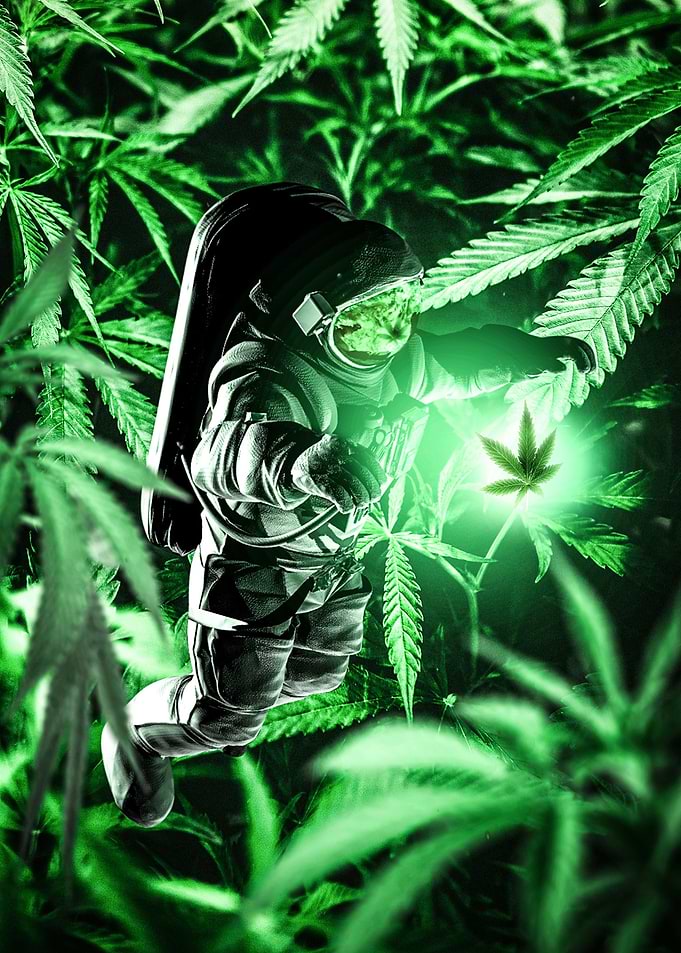 Weedception