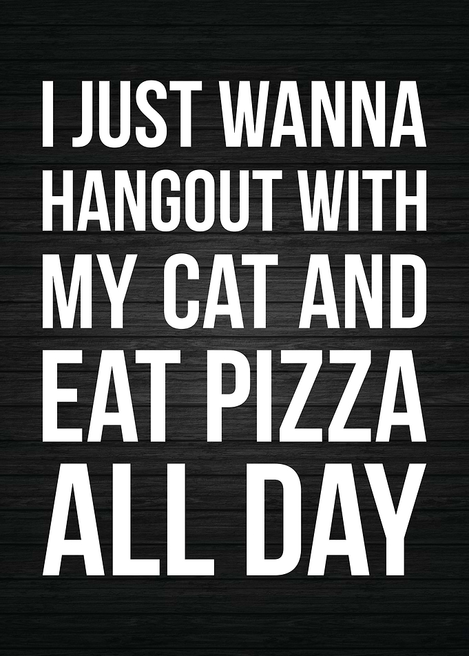 Pizza and Cats