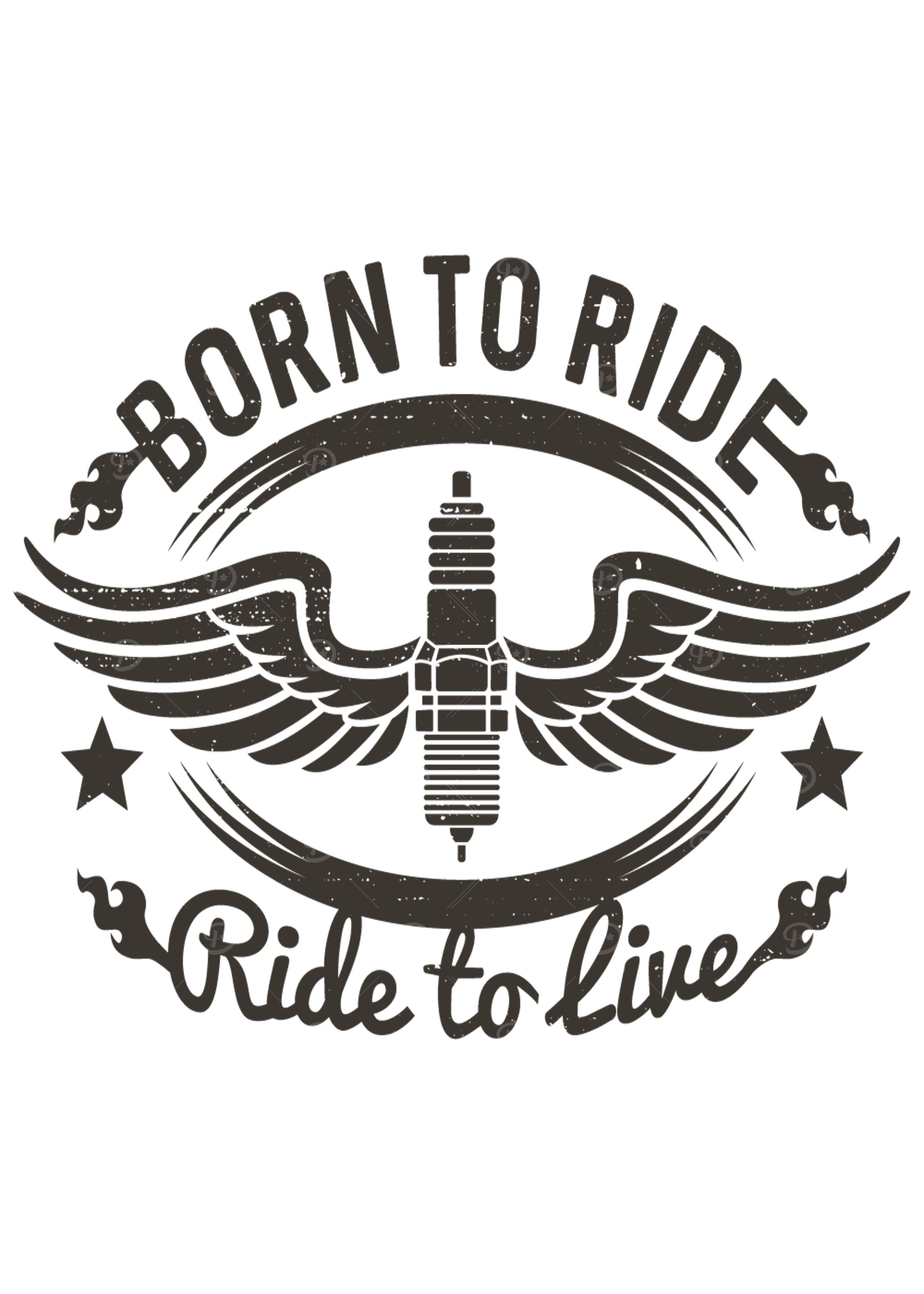Motorcycle Motorcyclist