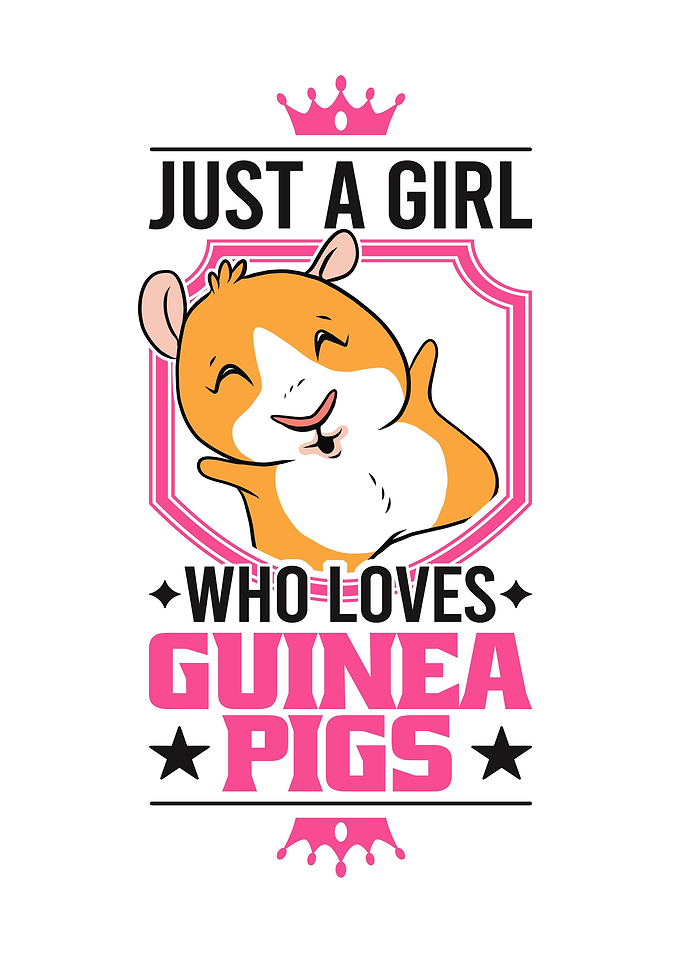 Guinea Pig Rodent Pet