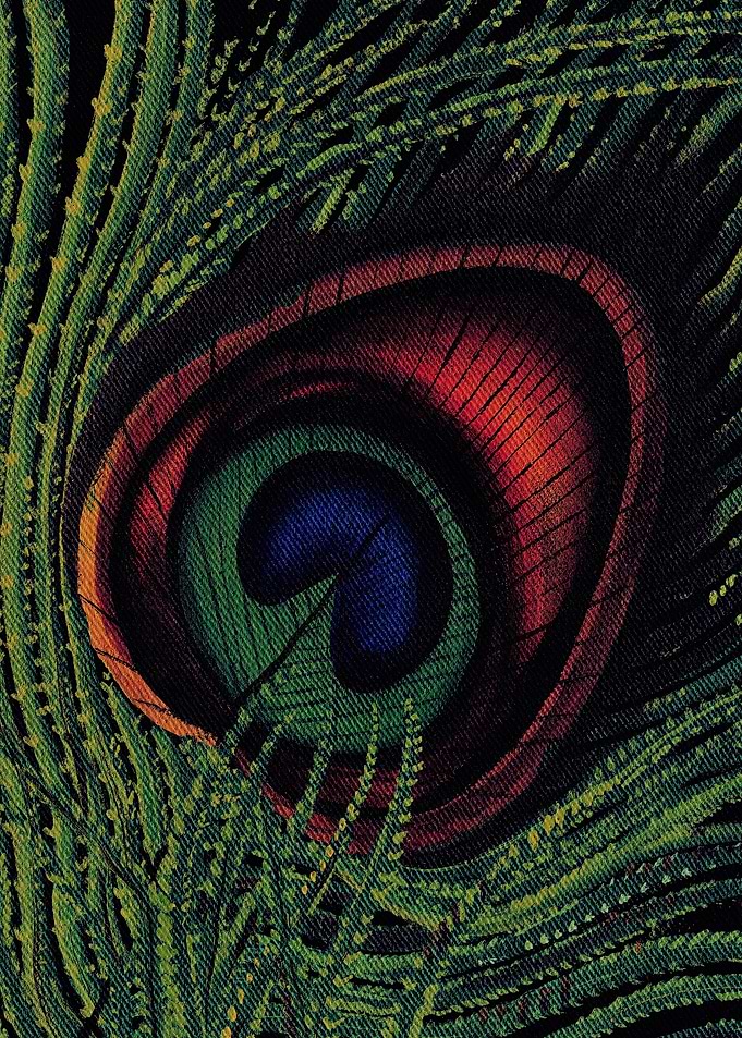 Peacock Feather