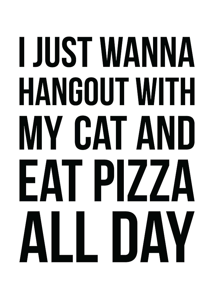 Pizza and Cats