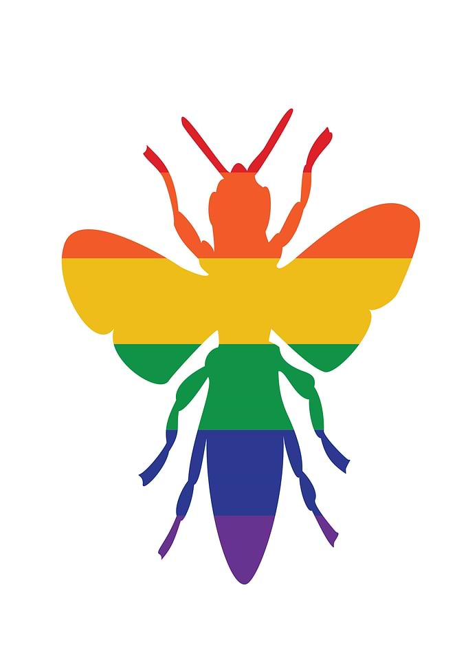 pride bee cross