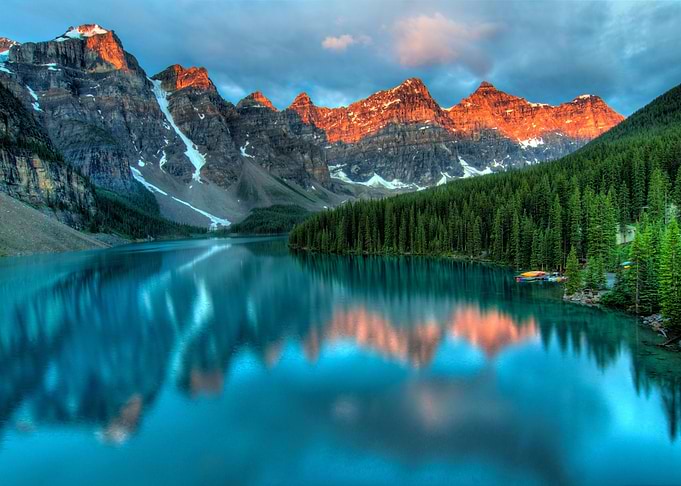 Forest Landscape