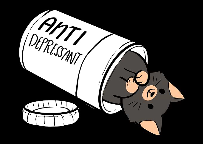 Cats Depression Cat Owner