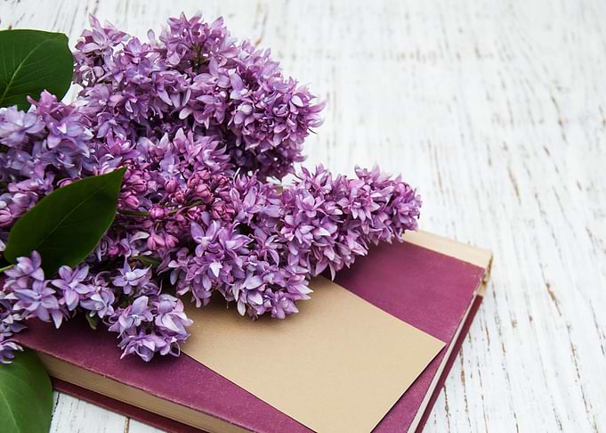 Lilac