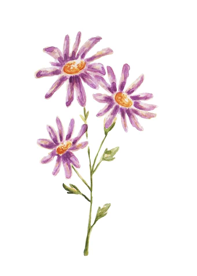 Modern pink flower