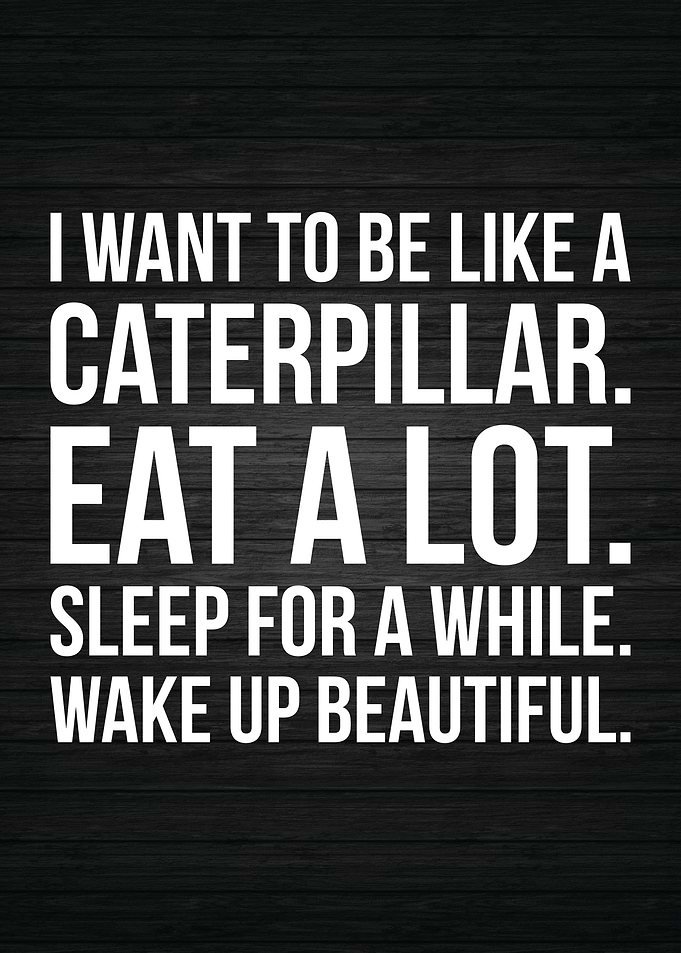 Caterpillar Humor