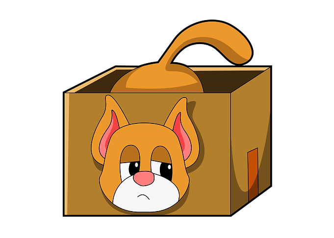 Cat Box