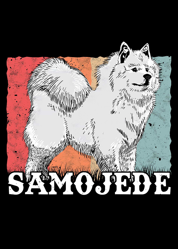 Samoyed Vintage Sled Dog