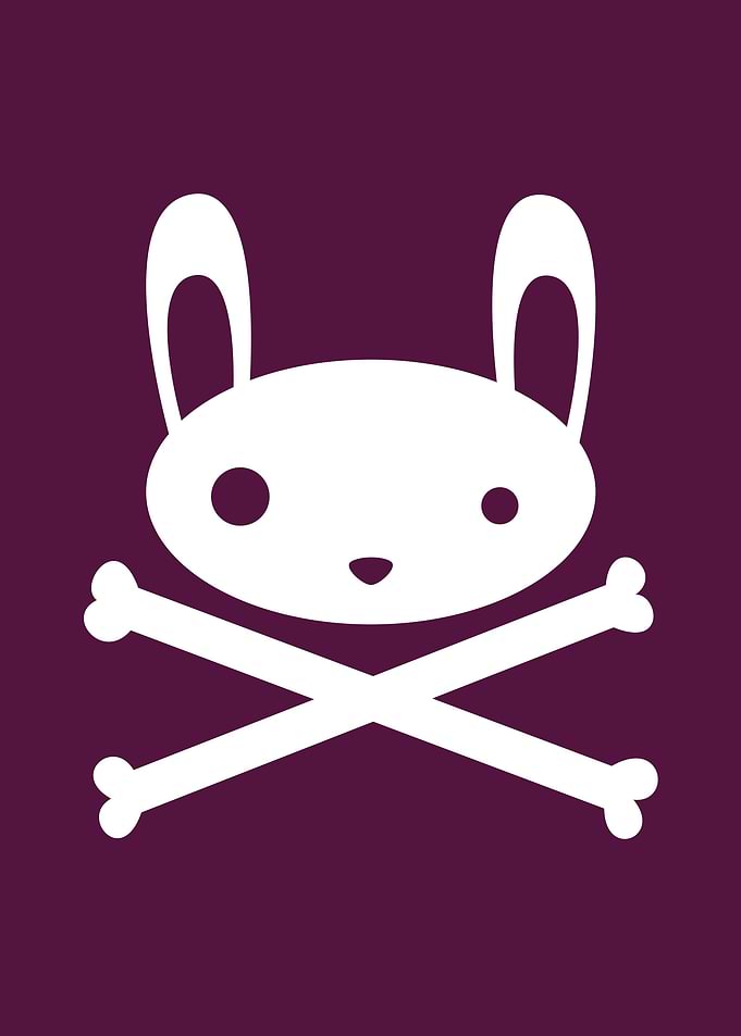 Bunny n Bones