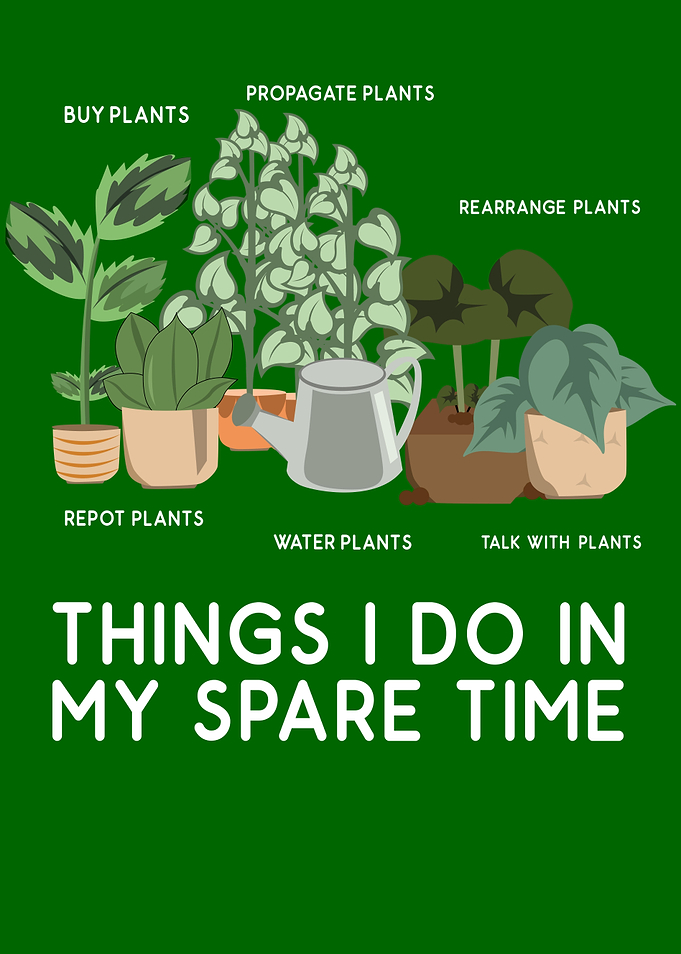 Plants Leisure Potted