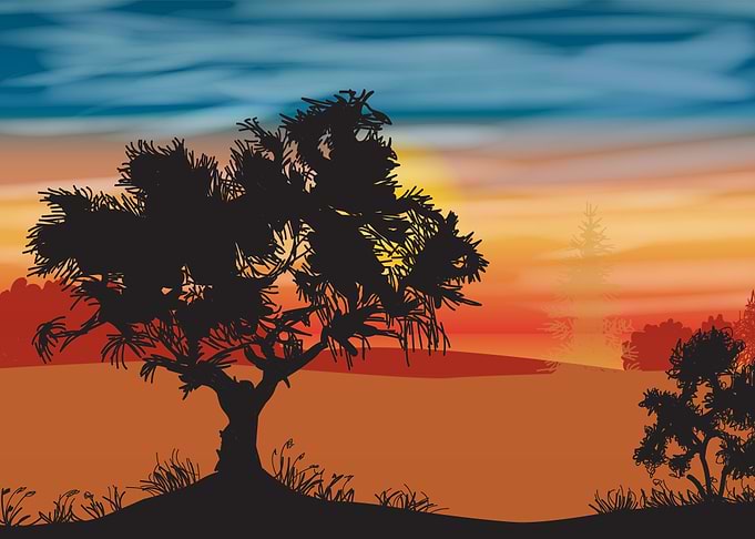 Tree Autumn