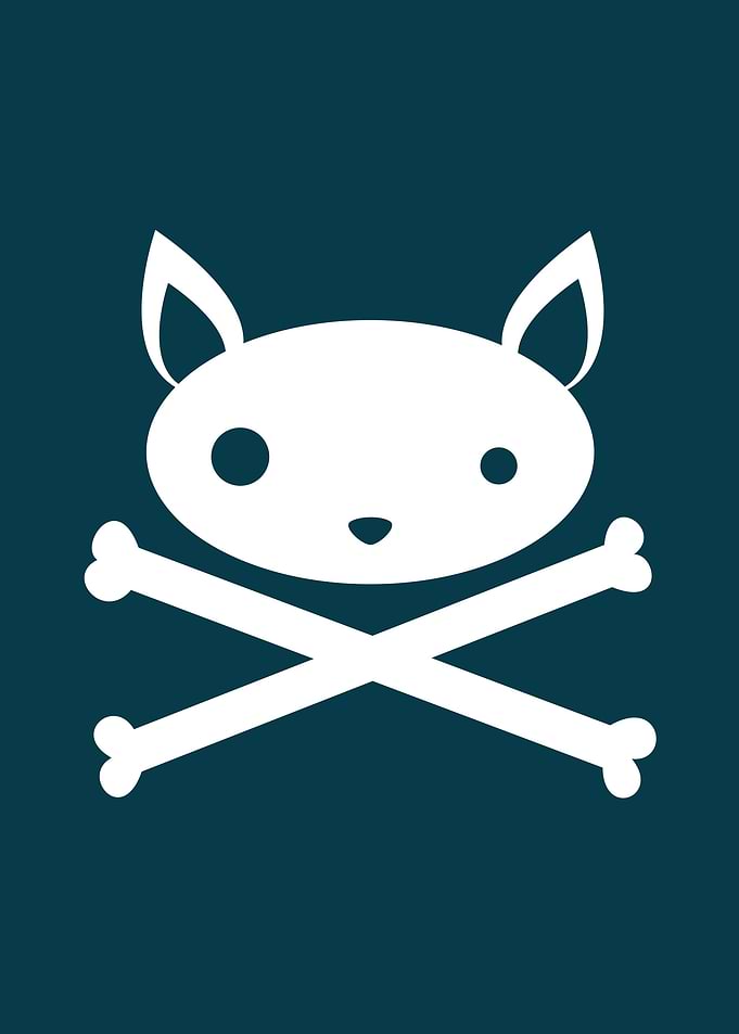 Cat n Bones