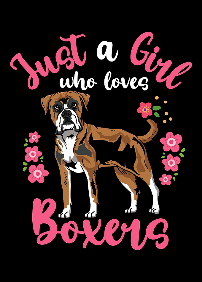 Boxer Dog