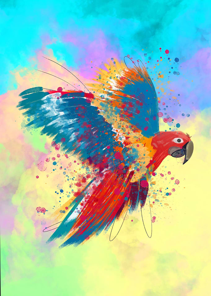 Colorful Parrot Bird