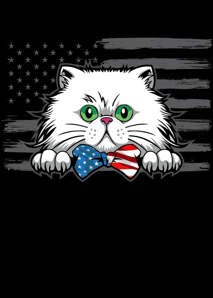 USA Cat 4th Of July