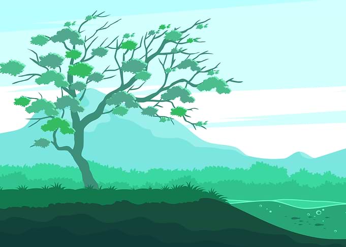Tree Autumn